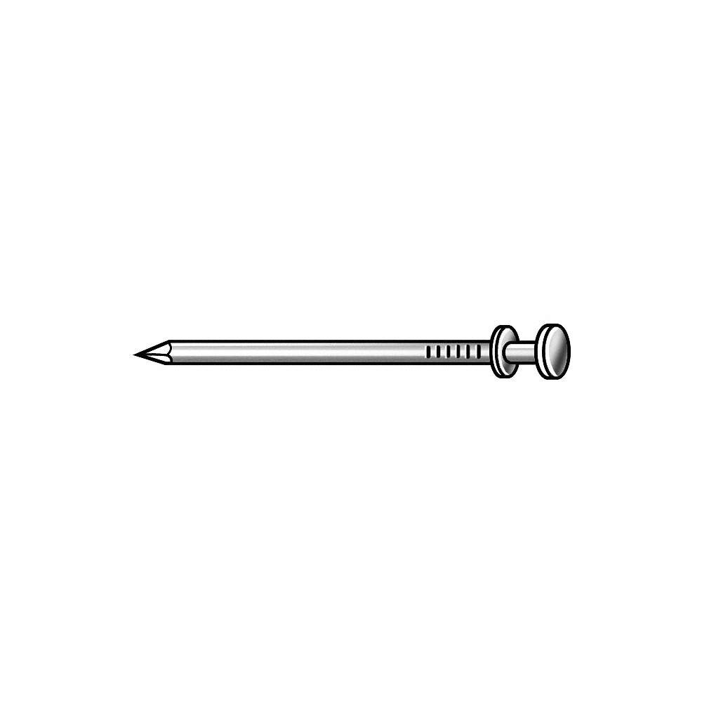 Grainger Approved 4NFD9 Scaffold Nail,3 in,8 ga,PK220 4NFD9