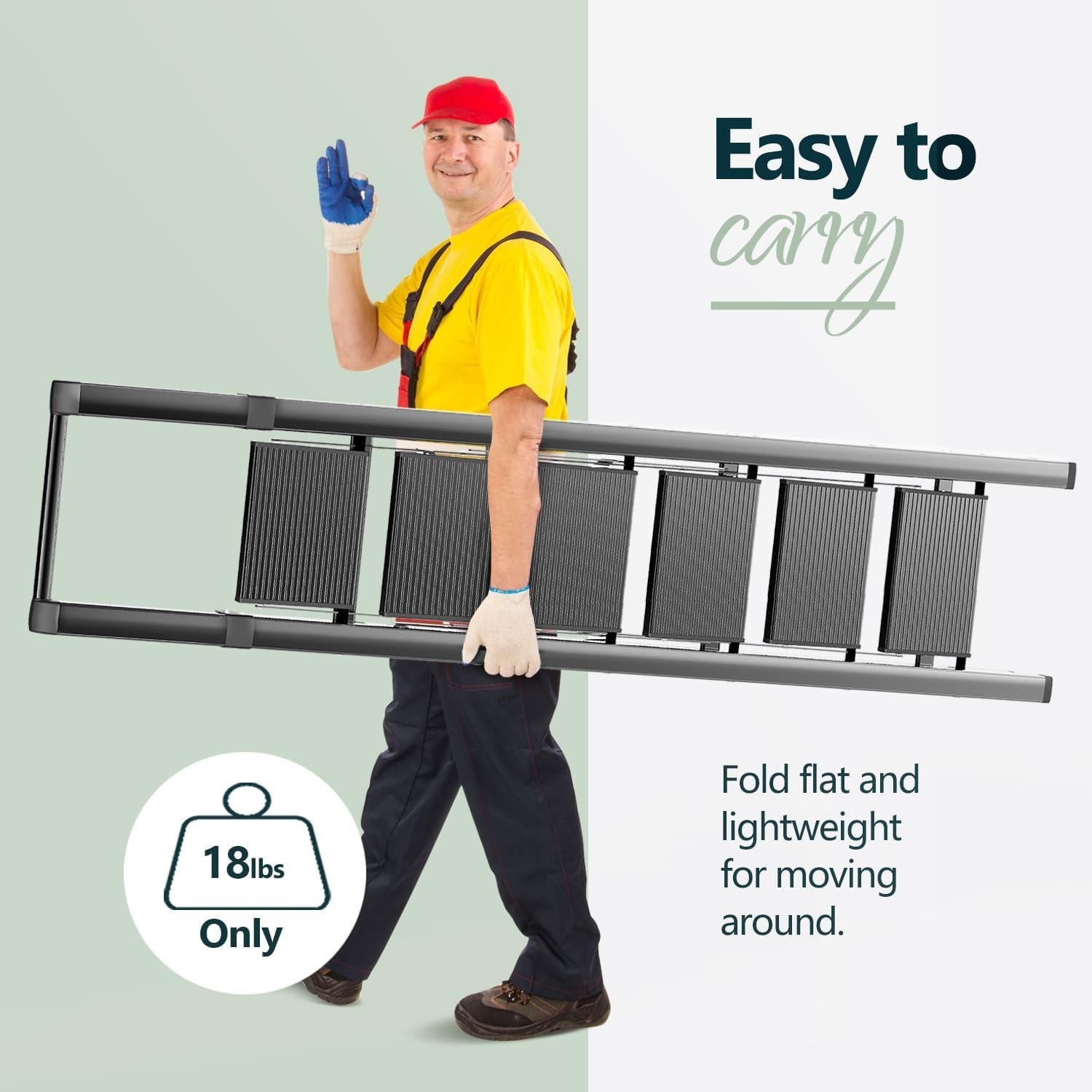 WOA 6 Step Ladder for 12 Feet High Ceiling, Lightweight 6 step, Black