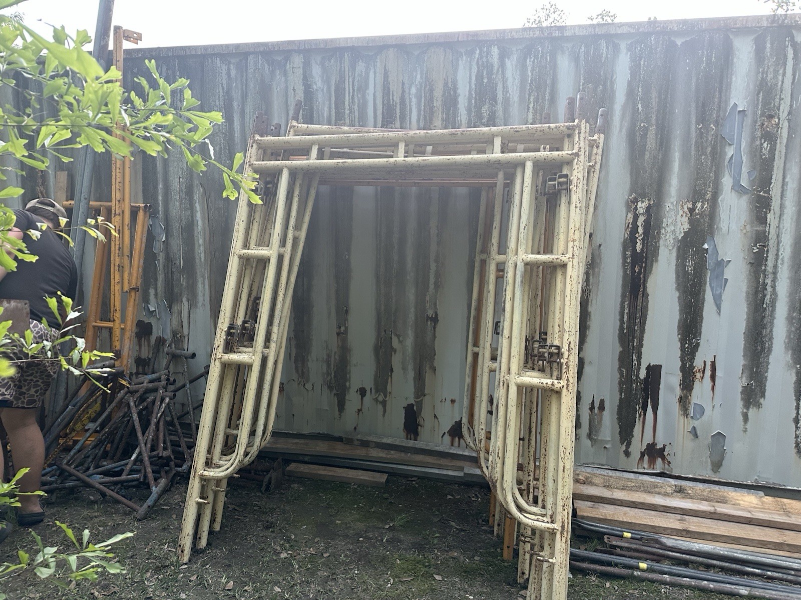 Scaffold