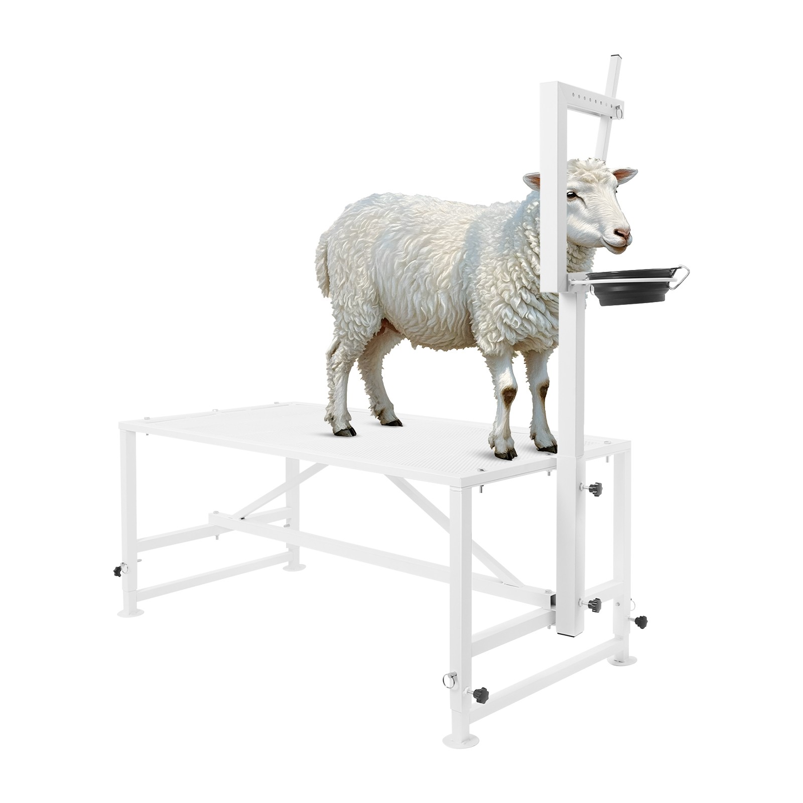 Metal Goat Stand for Goat Milk & Sheep Trimming w/ Headpiece & Feeding Bin