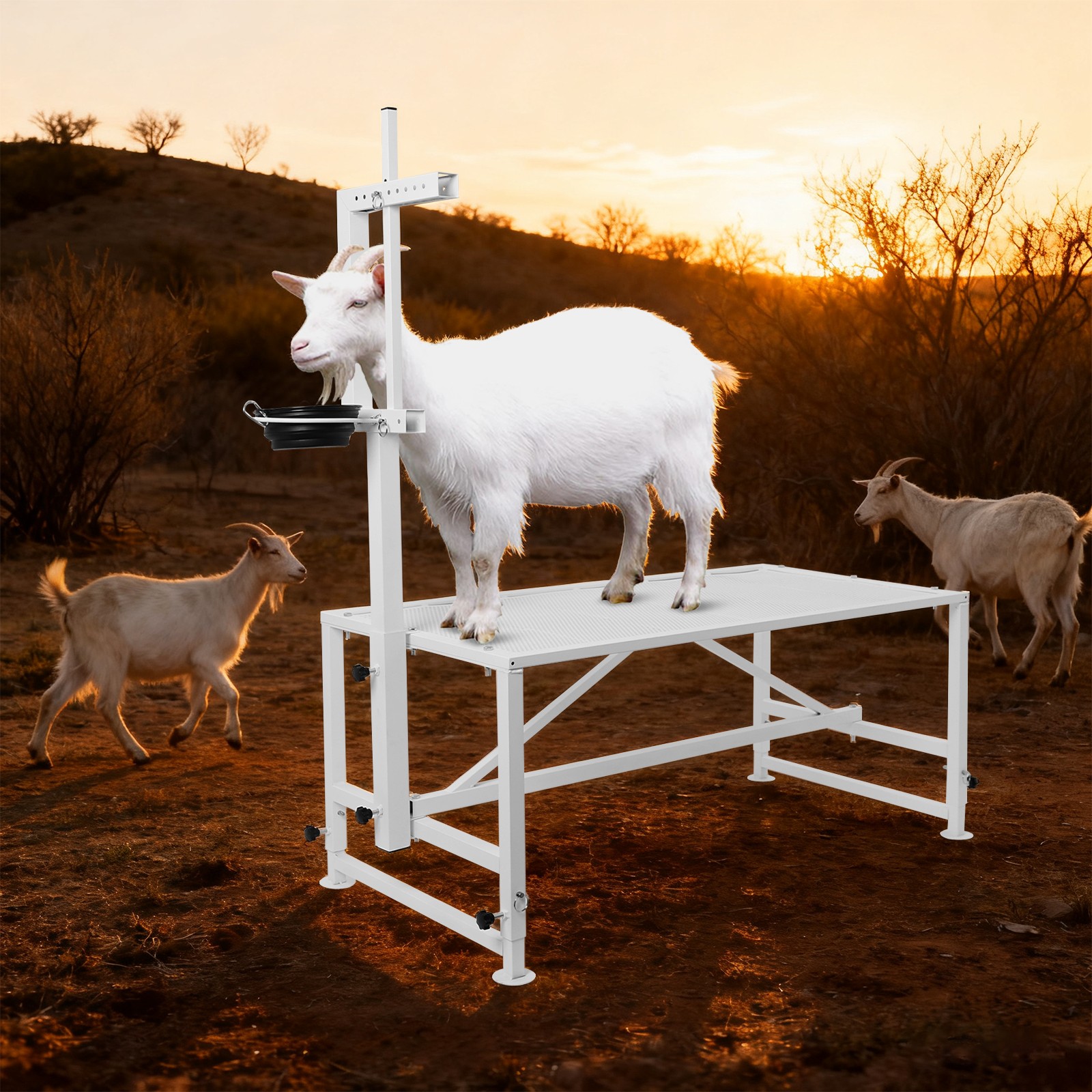 Metal Goat Stand for Goat Milk & Sheep Trimming w/ Headpiece & Feeding Bin